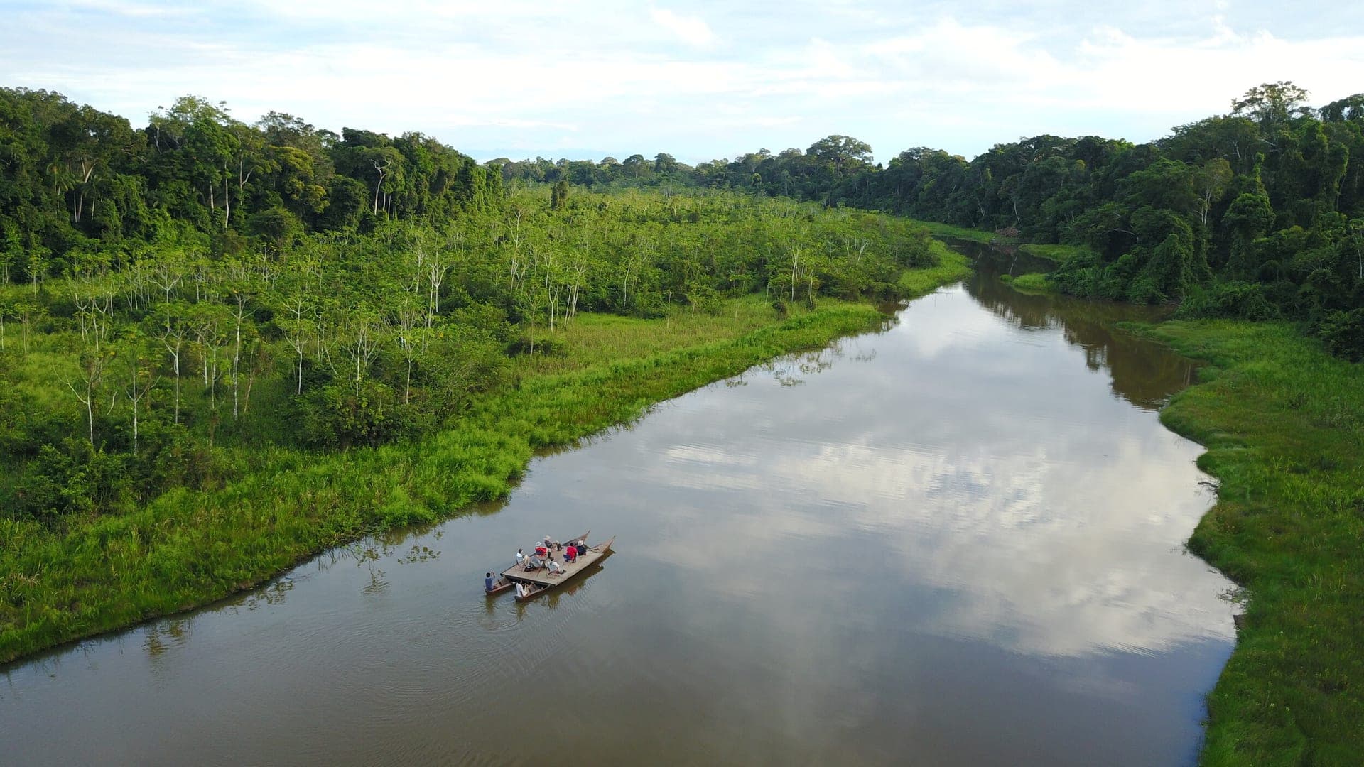 Aerial view of birders on a boat exploring an Amazon river, Peru