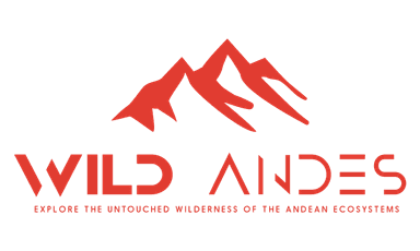 Wild Andes Tours